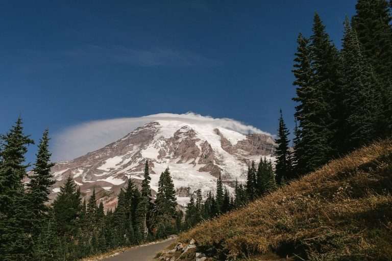 Snow-capped Mount Rainier surrounded by evergreen forest under a clear blue sky.